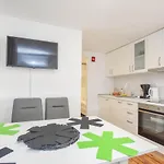 Mobile Dandelion *