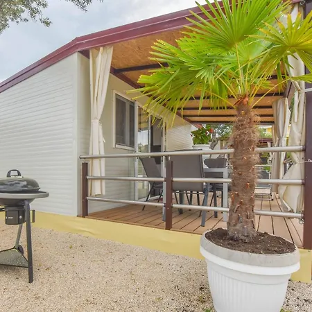 Mobile Dandelion Apartment Weißenburg