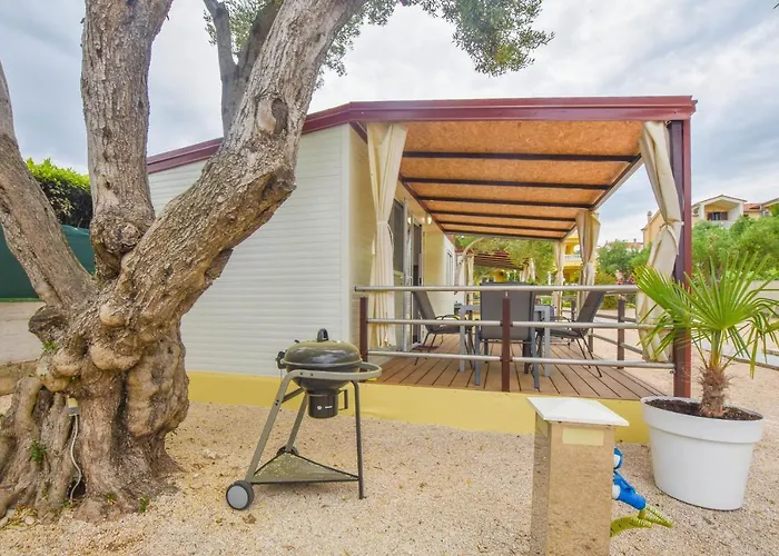 Mobile Dandelion * Weißenburg