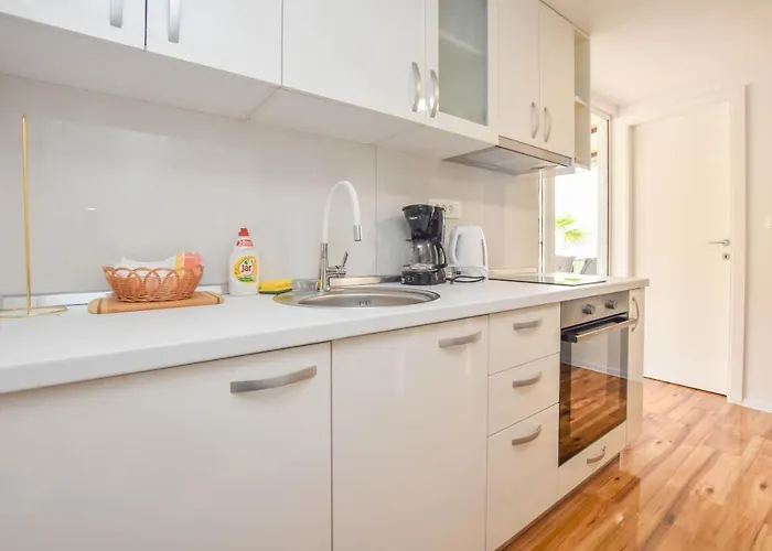 Mobile Dandelion Weißenburg