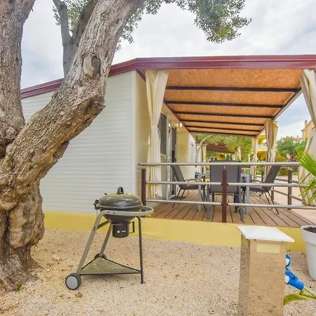 Mobile Dandelion * Biograd Na Moru