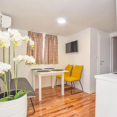 Mobile Dandelion Biograd Na Moru