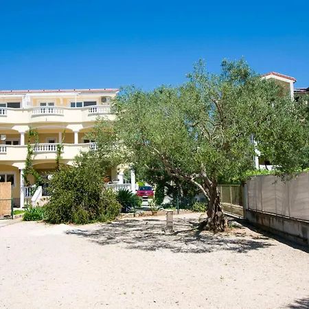 Mobile Dandelion Biograd Na Moru