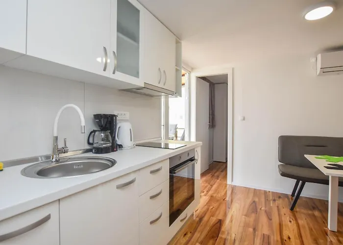 Mobile Dandelion ビオグラード・ナ・モル