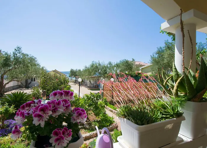 Mobile Dandelion Appartement *